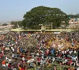 Pilgrims can visit medaram by helicopter services also