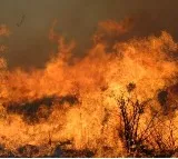 50 huts gutted in fire in Telangana’s Karimnagar town