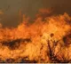 50 huts gutted in fire in Telangana’s Karimnagar town