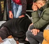 Palestinian death toll in Gaza rises to 29,195 amid Israeli attacks