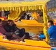 Sachin Tendulkar pays obeisance at Hazratbal, Shankaracharya temple in Srinagar; takes Shikara ride