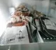Drug Control officials raids on blood banks in Hyderbad