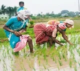 Who Do Ag Subsidies Support