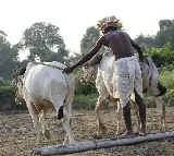 The situation of farmers in our country is so dire, see these details!