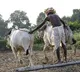 The situation of farmers in our country is so dire, see these details!