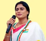 "I Can Understand the Pressure on Alla Ramakrishna Reddy": YS Sharmila