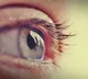 GPT-4 better than eye specialists in retina & glaucoma management: Study