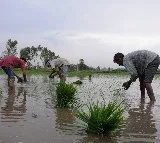 ‘Farmers first’ policy is Modi govt's resolve to boost their income: A look at key initiatives