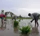 ‘Farmers first’ policy is Modi govt's resolve to boost their income: A look at key initiatives
