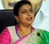 Pawan Kalyan lacks potential for CM role: Roja