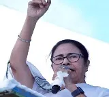 Trinamool Congress Says It Will Contest All 42 West Bengal Seats
