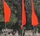 Explosive device found in RSS office in MP's Bhind, defused