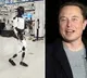 This is how the world reacts to Musk's robot Optimus