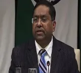 Several Indians discharged from Russian army following Indias demand Says MEA