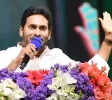 Andhra CM urges YSRCP cadres to work for clean sweep in Assembly, LS polls