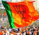 BJP won 10 Rajya Sabha seats