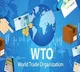 India makes strong pitch for restoration of Appellate Body at WTO