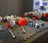 Homegrown Addverb unveils India's 1st assistive dog robot