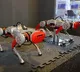 Homegrown Addverb unveils India's 1st assistive dog robot