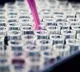 Tata Institute Claims that is Succeded In Cancer Treatment