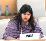 'Country has no locus standi to comment on our internal matters': India on Pakistan raising Kashmir issue at UN council