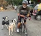 Ex-Intel India chief Avtar Saini dies after speeding cab hits his cycle in Navi Mumbai