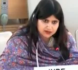 India befitting reply to Pakistan and Turkey at UNSC