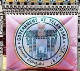 Hemanth Keshav Patil as Hyderabad additional collector