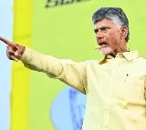 Chandrababu Writes to Governor Regarding the Arrest of Prathipati's Son