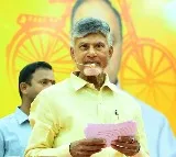 Chandrababu satires on YCP leaders in Nellore