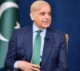 Shehbaz Sharif elected Pakistan Prime Minister
