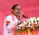 KCR comes to Telangana Bhavan