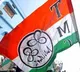 Hold single-phase Lok Sabha polls in Bengal: Trinamool urges ECI