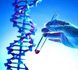 Scientists find gene linked to severe muscle disease