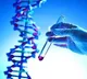 Scientists find gene linked to severe muscle disease