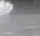 Ukraine shot down a Russian warship in the Black Sea
