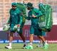 Pakistan team set to train with army again confirms pcb chairman