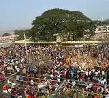 Medaram Hundi count rs 13 crore