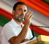 Rahul Gandhi writes to Kerala CM seeking CBI probe into death of veterinary student