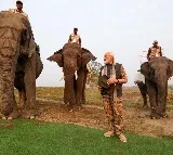 Lakhimai, Pradyumna and Phoolmai: 3 elephants whom PM Modi fed sugarcane during jungle safari