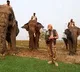 Lakhimai, Pradyumna and Phoolmai: 3 elephants whom PM Modi fed sugarcane during jungle safari
