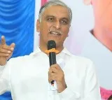 Harish rao says congress will not win lok sabha election