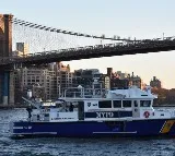 Indian woman in newyork goes missing