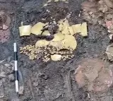 Archaeologists In Panama Unearth Tomb Filled With Gold Treasure