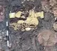Archaeologists In Panama Unearth Tomb Filled With Gold Treasure