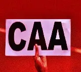 YSRCP opposed to CAA in its current format, says MLA