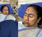 Mamata Banerjee suffers 'major' injury, rushed to hospital: TMC