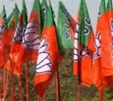 List of AP BJP candidates