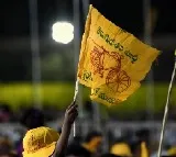 TDP releases second list with 34 candidates
