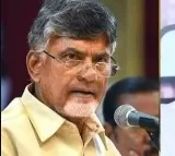 TDP and Janasena alliance may win 18 lok sabha seats in parliament elections